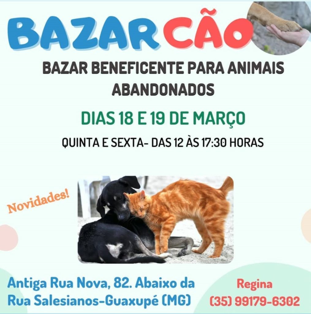 BAZARZÃO – Bazar Beneficente em prol dos animais abandonados
